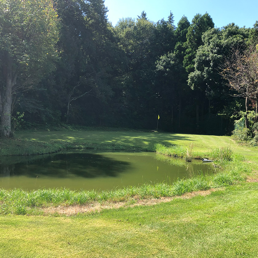 池越えアプローチ